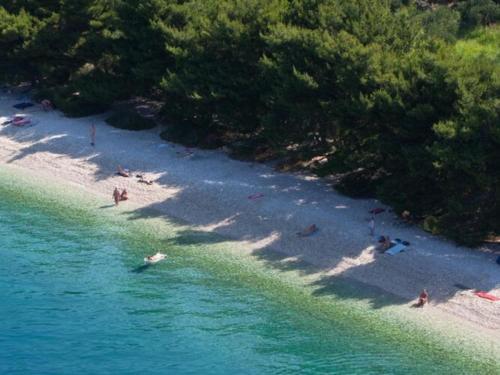 Apartments Villa Vesna Podgora - Cdm05026-dyd