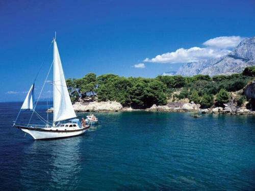 Apartments Villa Vesna Podgora - Cdm05026-dyd