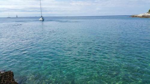 Apartman Dana