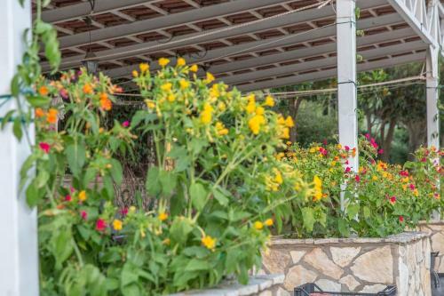 Villa Luxury Country House In Kalamata / Sp