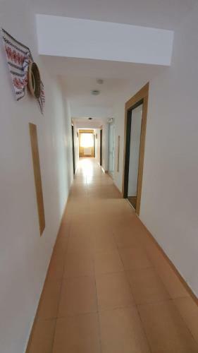 Hostal Pensiunea Patricia, V�rful Lui Roman