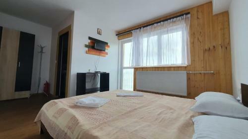 Hostal Pensiunea Patricia, V�rful Lui Roman