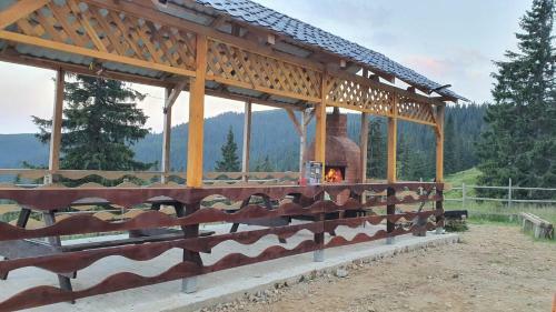 Hostal Pensiunea Patricia, V�rful Lui Roman
