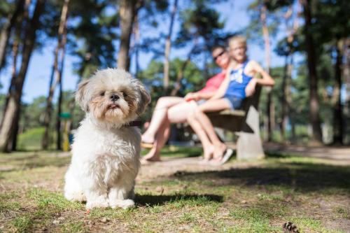 Oostappen Vakantiepark Arnhem