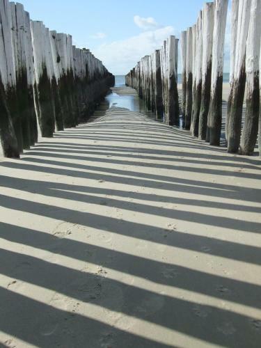 Apartamento Zierikzee Appartement Zz 41