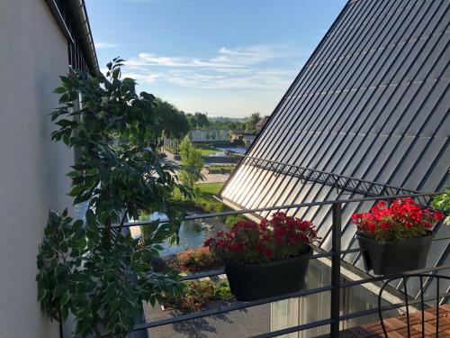 Hostal D�le - Jen Tak Si ?�t ...