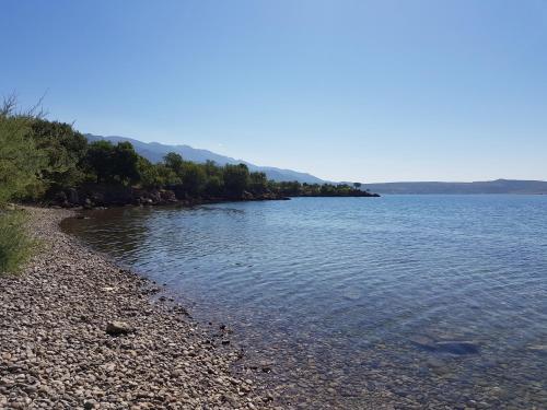 Apartmani Jozic
