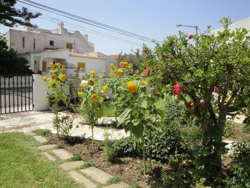 Hostal Lemon Tree Relaxing Guesthouse
