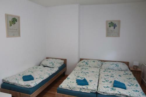Penzion Jak� Sv?t Nevid?l