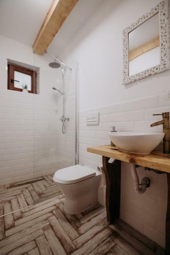 Hostal Casa De Sub Munte