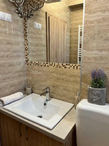 Apartament Andrei Baile Felix
