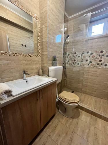 Apartament Andrei Baile Felix