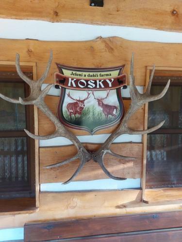 Ubytov�n� Na Jelen� Farm?