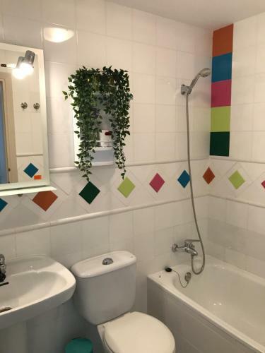 Apartamento Oasis Paradise
