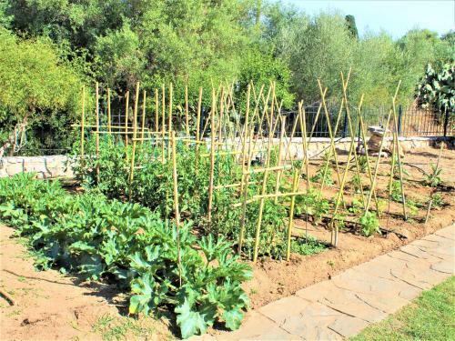 Agroturismo Stamna Farm