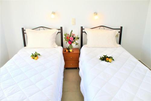 Agroturismo Stamna Farm