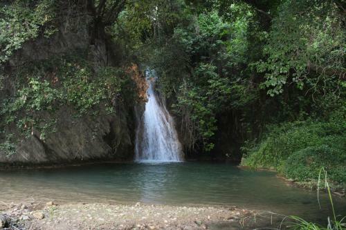 Agroturismo Stamna Farm