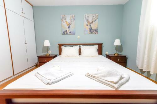 Pine Trees Apartment