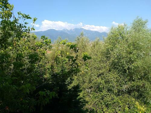 Blue Oasis Villa Plaka-leptokaria