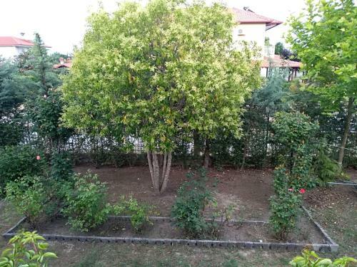 Blue Oasis Villa Plaka-leptokaria