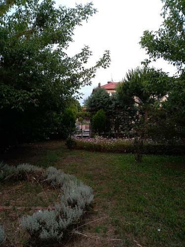 Blue Oasis Villa Plaka-leptokaria