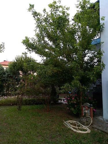 Blue Oasis Villa Plaka-leptokaria