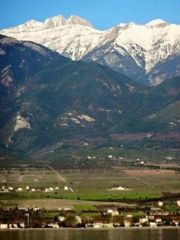 Blue Oasis Villa Plaka-leptokaria