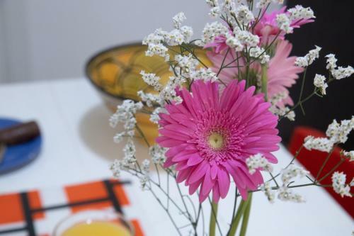 Bed & Breakfast La Vispa Teresa Zona Ospedale