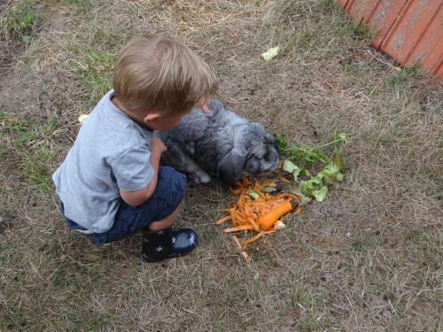 Bed & Breakfast Sans Parure : Chambre D'h�te