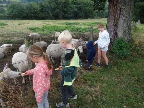 Bed & Breakfast Sans Parure : Chambre D'h�te