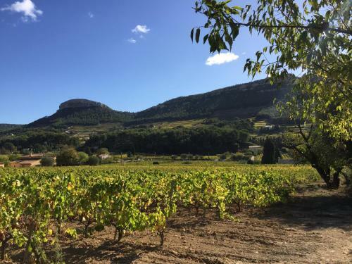 Bed & Breakfast Le Mas Du Perthus