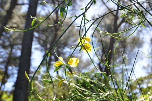 Bed & Breakfast Le Mas Du Perthus