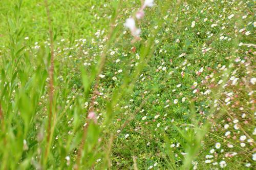 Bed & Breakfast Le Mas Du Perthus