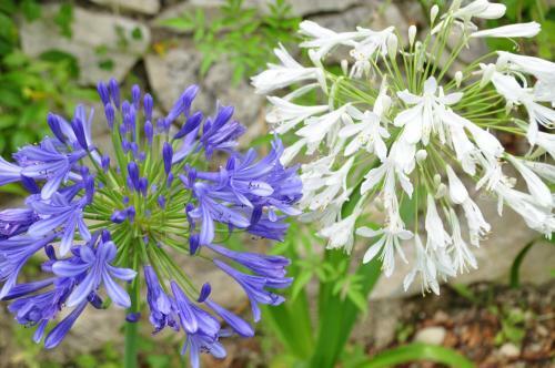 Bed & Breakfast Le Mas Du Perthus