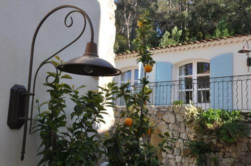 Bed & Breakfast Le Mas Du Perthus
