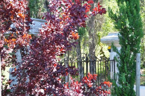 Bed & Breakfast Le Mas Du Perthus