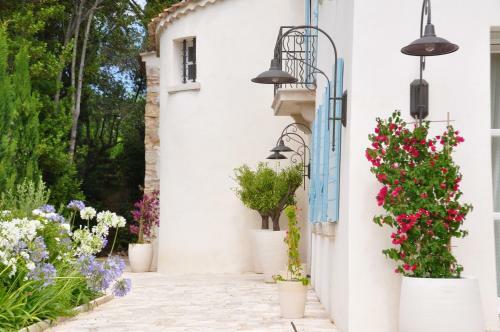 Bed & Breakfast Le Mas Du Perthus