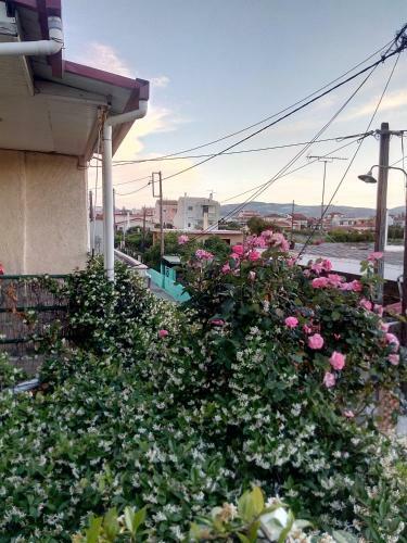 Apartamento Cozy House 3