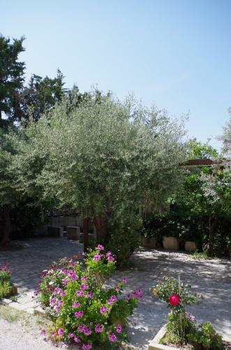 Corsaro B&B