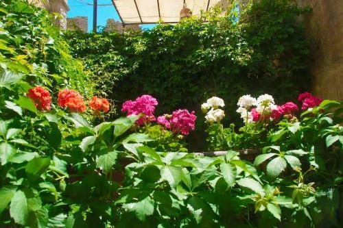 Apartamento Erice Villa San Domenico