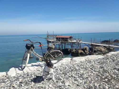 Apartamento Casa A 20 Metri Dal Mare!