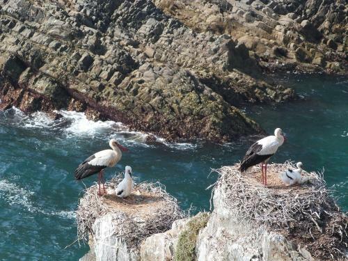 Portugal Nature Lodge