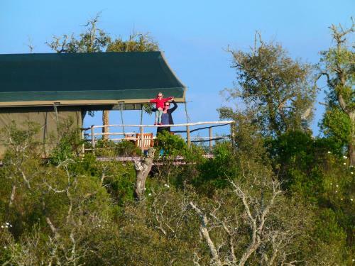 Portugal Nature Lodge