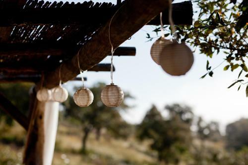 Portugal Nature Lodge