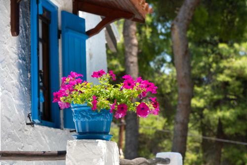 Sani Pine Villa