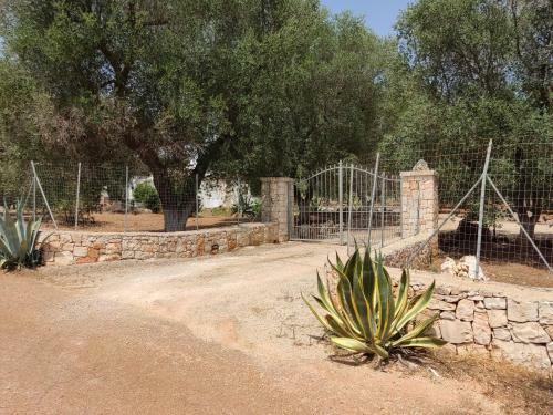 Villa Trullo Saraceno