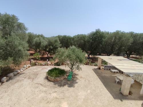 Villa Trullo Saraceno