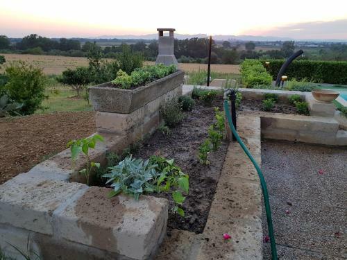 Agroturismo Il Poggio Stellato