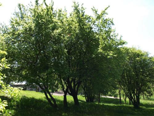 Agroturismo Fabryka Odpoczynku