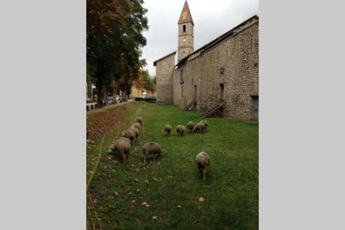 Grande Maison De Vacances � Colmars Les Alpes